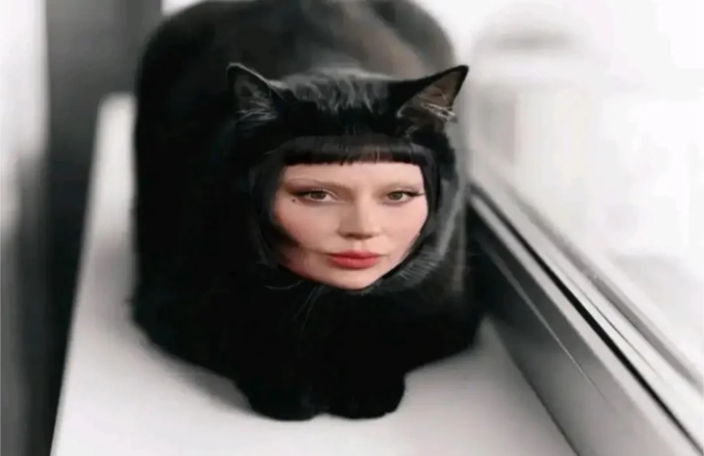 jaf56nqr8vyf1.png