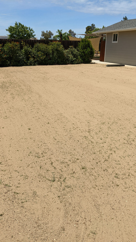 PXL_20220528_203058938