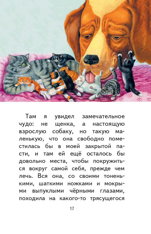 Kuprin-Aleksandr-Sapsan-2019-page-0018