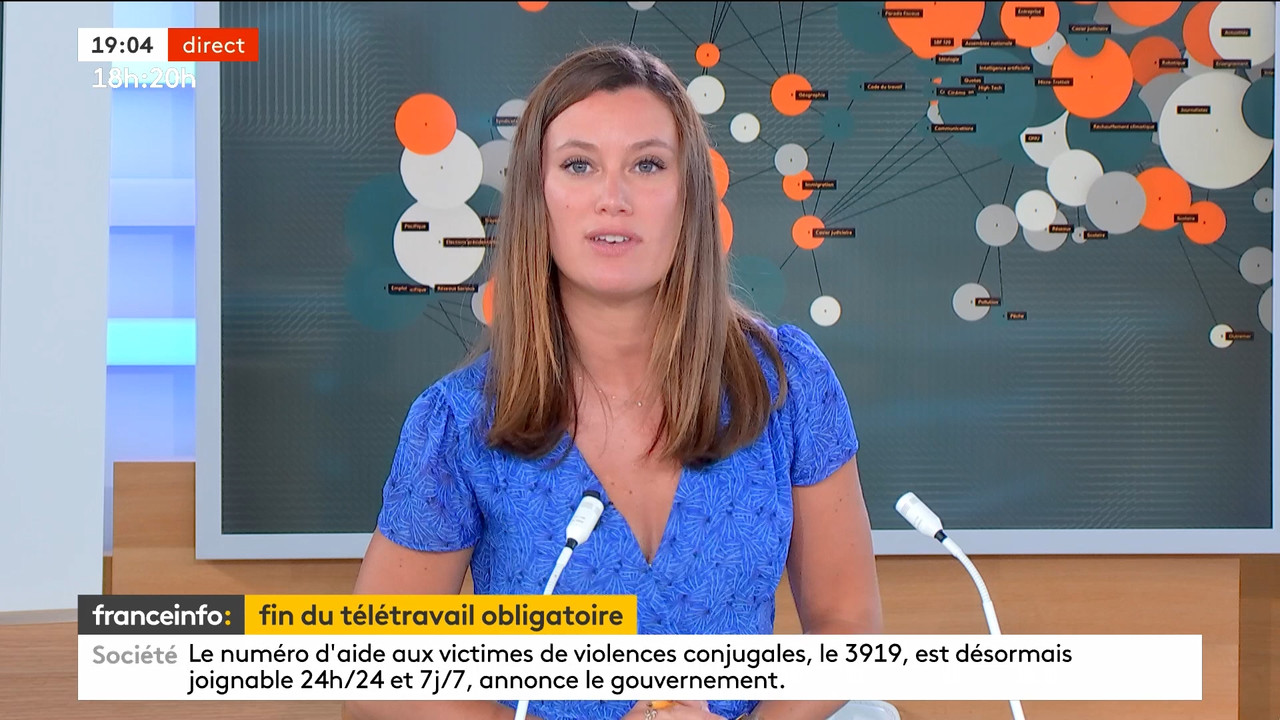 08.30 - 16.58.00 - Le 18h-20h. Retrouvez le journal télévisé qui vous..._001.ts_snapshot_00.20.11.72