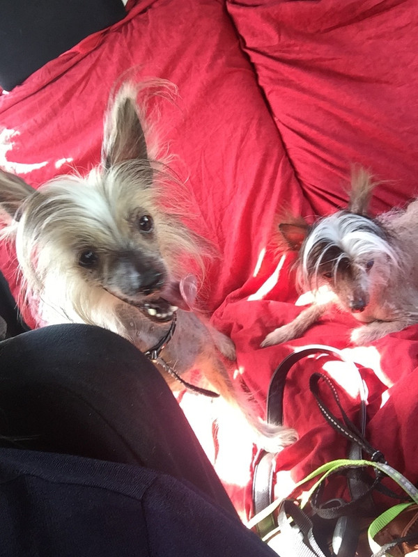 647B8169-B801-4ED4-ACF5-21DFC24A6CFD