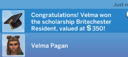 term-2-scholarship-vela.png