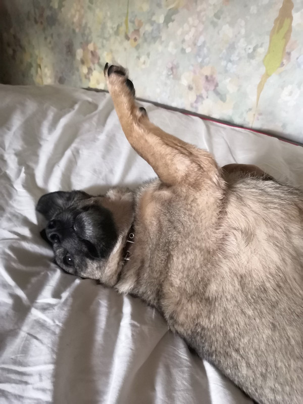 IMG-82978009b1d10fb5ce22cf2738cf63e7-V