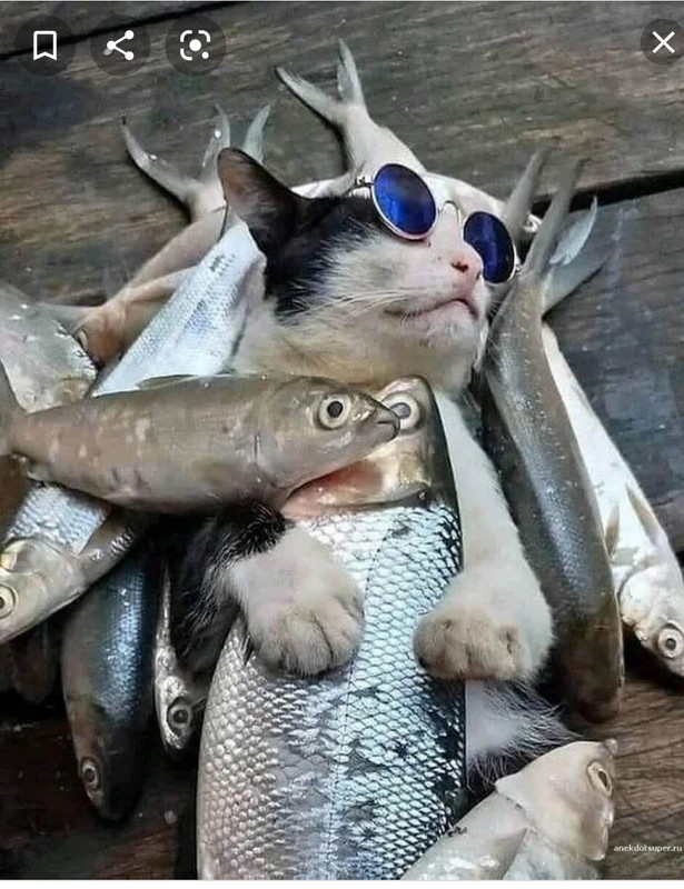 IMG_٢٠٢١٠٦٠١_٠٠٠٧٥٢