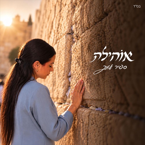 תמונה