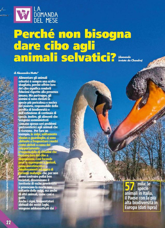 Foc Wil - Lug 2023 (3)