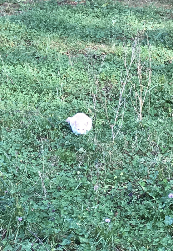 7DB51C73-BE86-47F0-BEF2-275E1B9A56C9