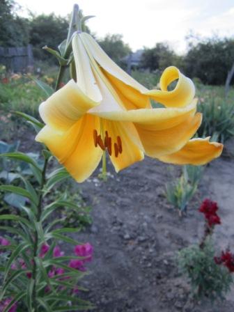 IMG_2458