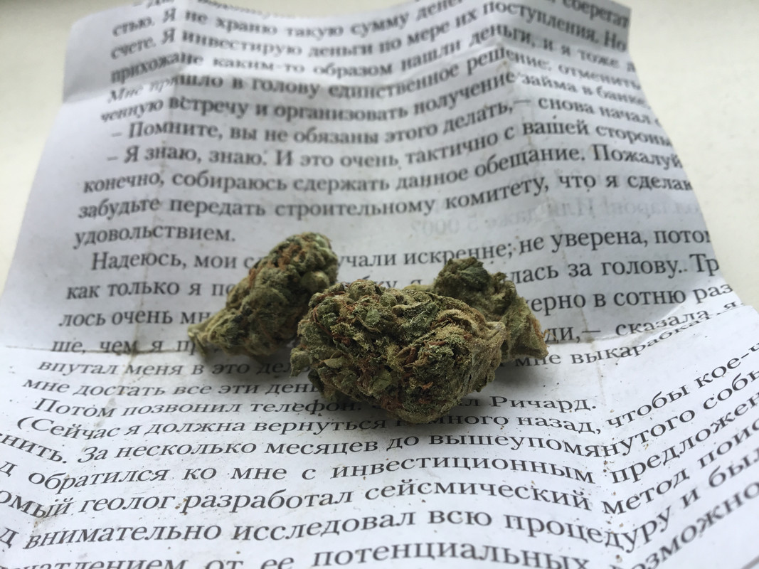 8AC1A26A-7CEA-4C6A-B46D-FFF252A5E8E9