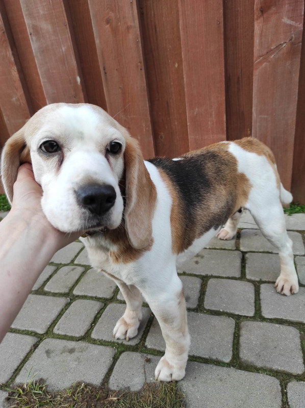 335771162_730386078556899_7877408515972396180_n