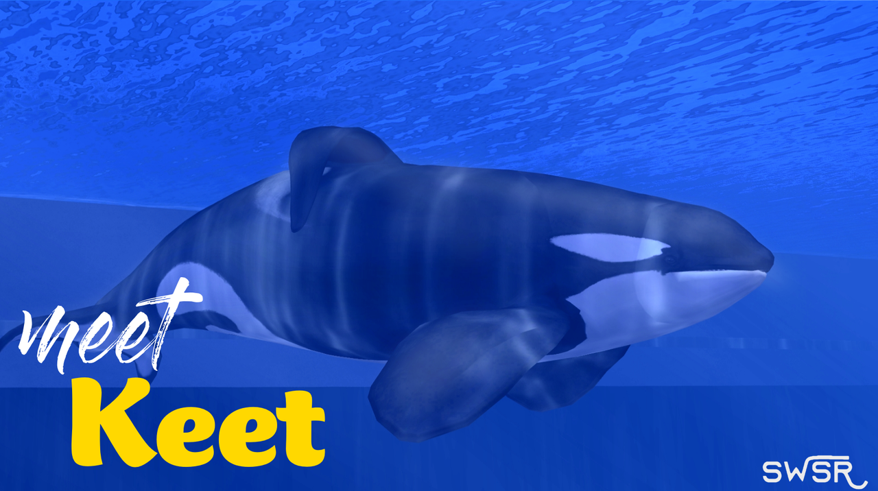 SeaWorld Shanghai - Page 2 - The ZT2 Round Table