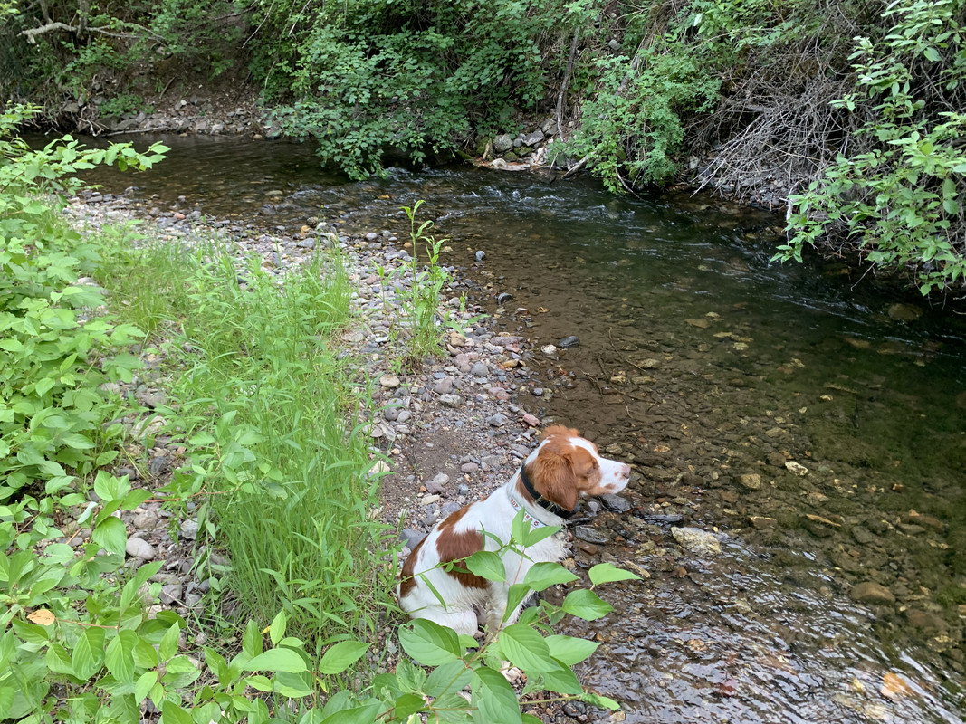 E0669928-F915-47B5-ABA7-493BF3EEC078