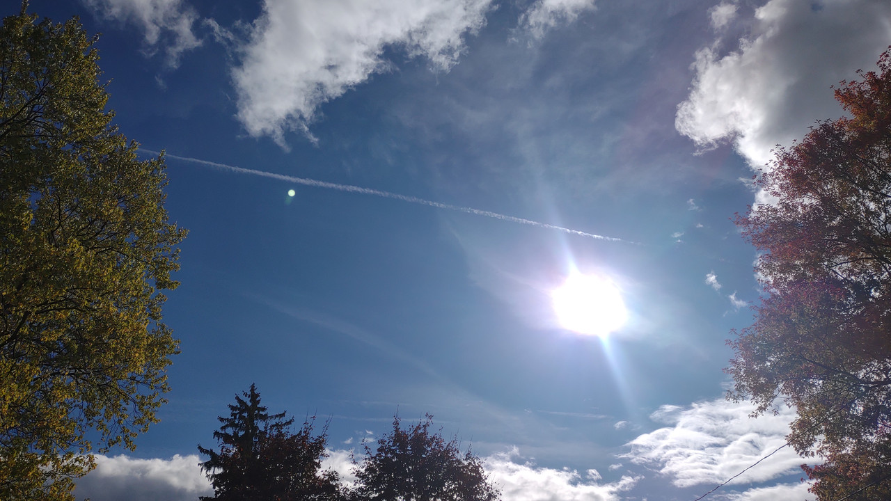 IMG 20251023 151158343 Copy