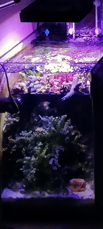 Screenshot 2025 11 02 16 39 09 03 965bbf4d18d205f782c6b8409c5773a4