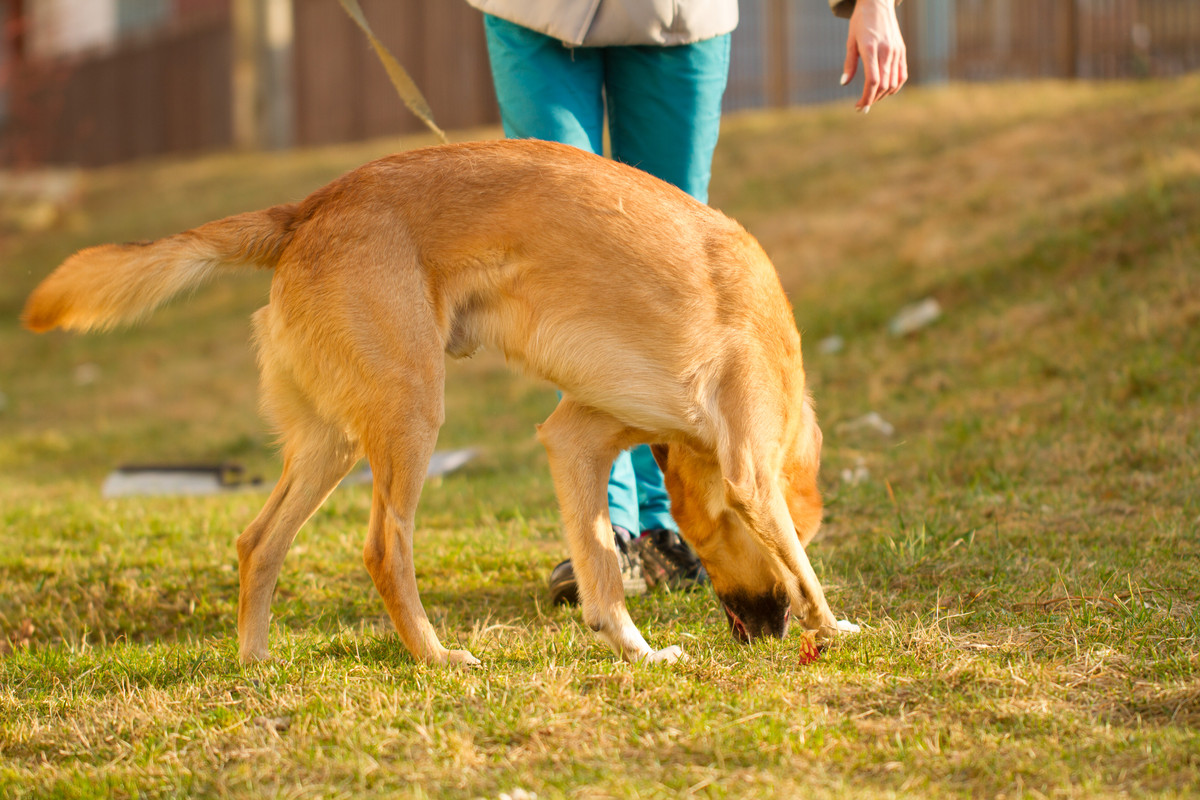 без имени-5373