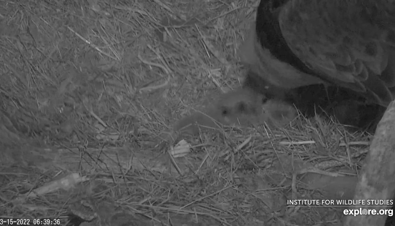 FA79E7A7-C7C8-4C25-9797-9001A6967731