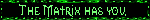 matrix