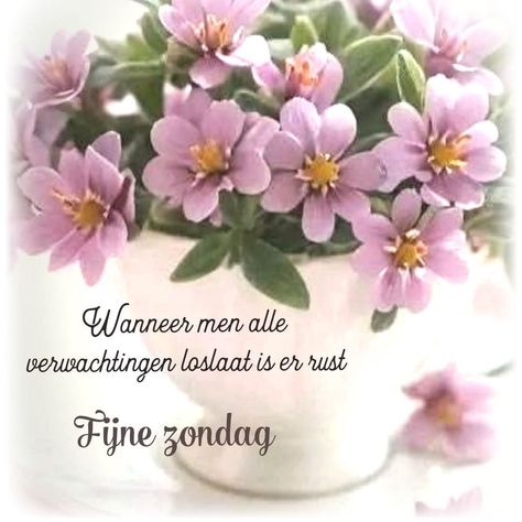 5fc6aff29985e819d2f05c75cfce9fd6