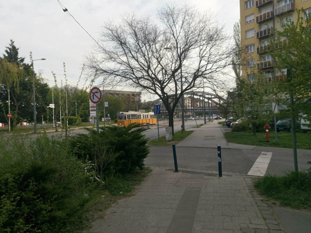 Kép