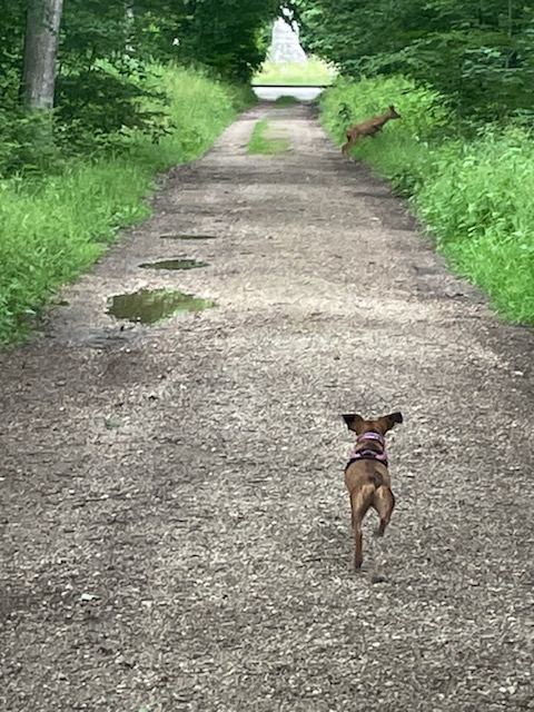 [Image: IMG-9702.jpg]