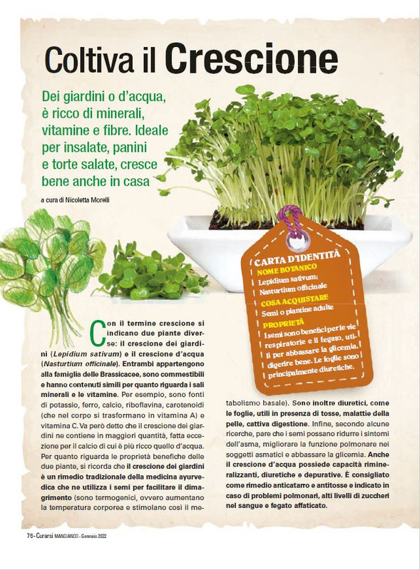 Cur Mang Gen 2022 (11)