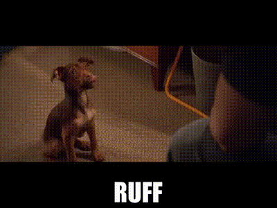 IMG-6175.gif
