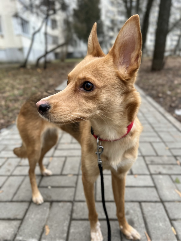 C7D9AA39-95EA-423C-A6BB-1EAB47988B61