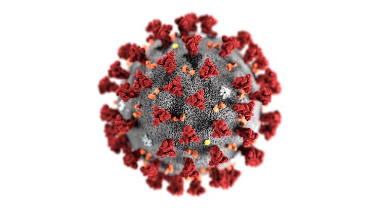 Coronavirus-CDC.max-752x423