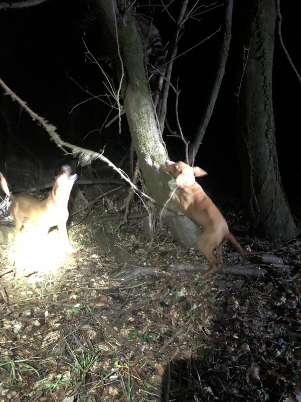 B3DF8F8C-71A3-4F1C-B6F7-07E68DBFDF52