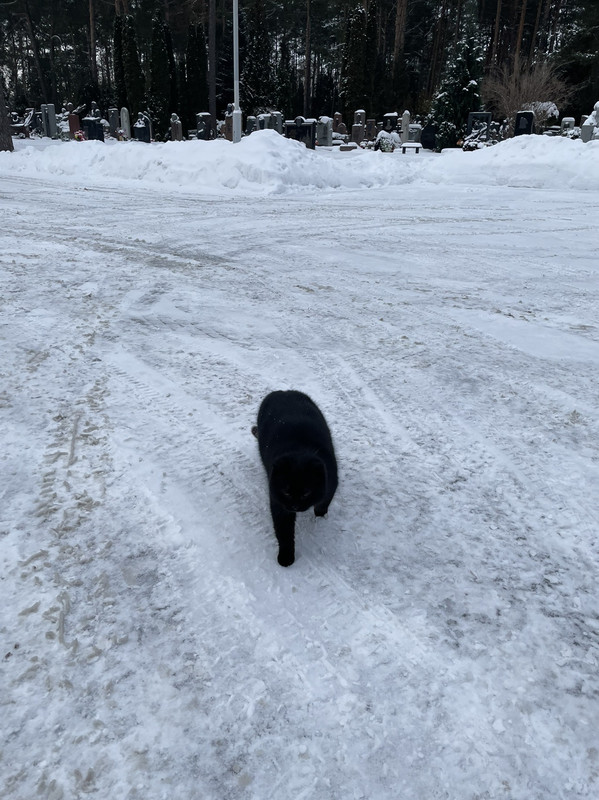 30A9B81A-DBA6-43BC-841F-79FDC5E590CB