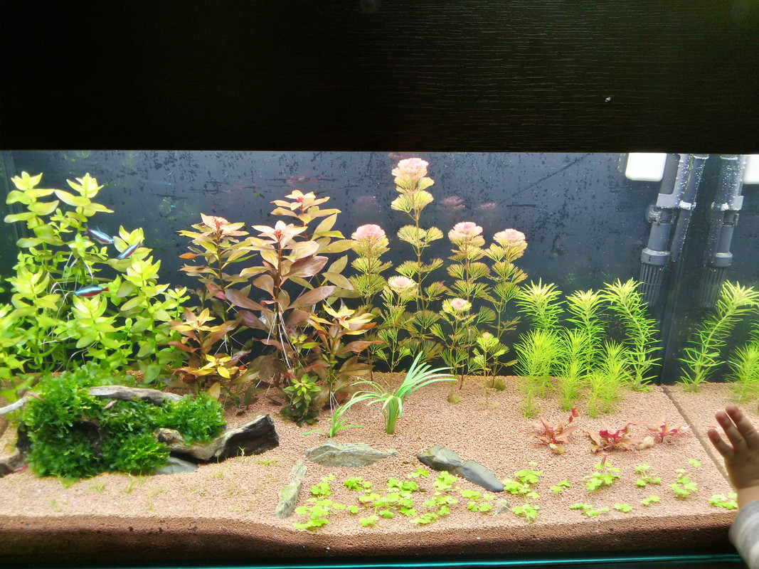 20161129_205626_Richtone(HDR)