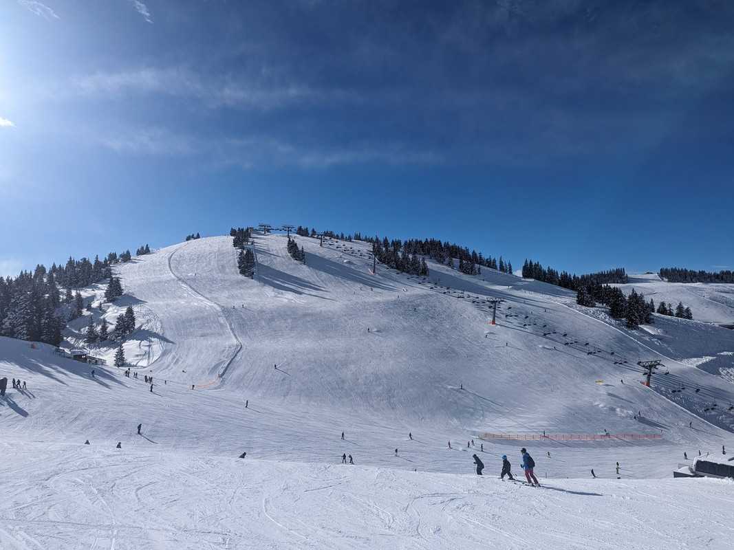 PXL_20240225_085347816.MP