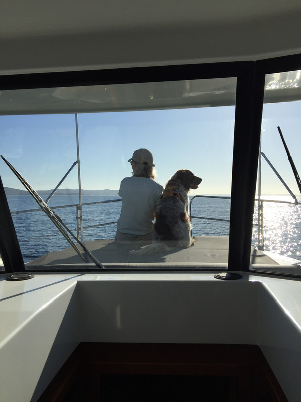 9F128682-15E2-4C62-8F45-4F3284CC319E