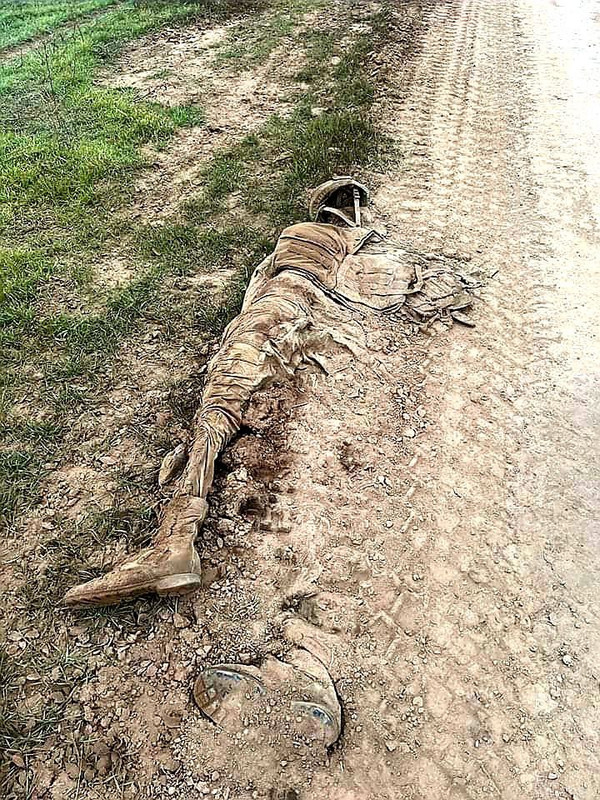 IMG_20221114_125059_114