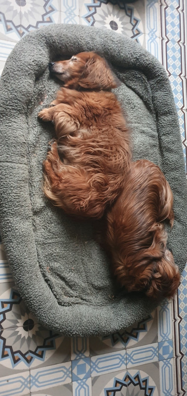 [Image: 20230709-213917.jpg]