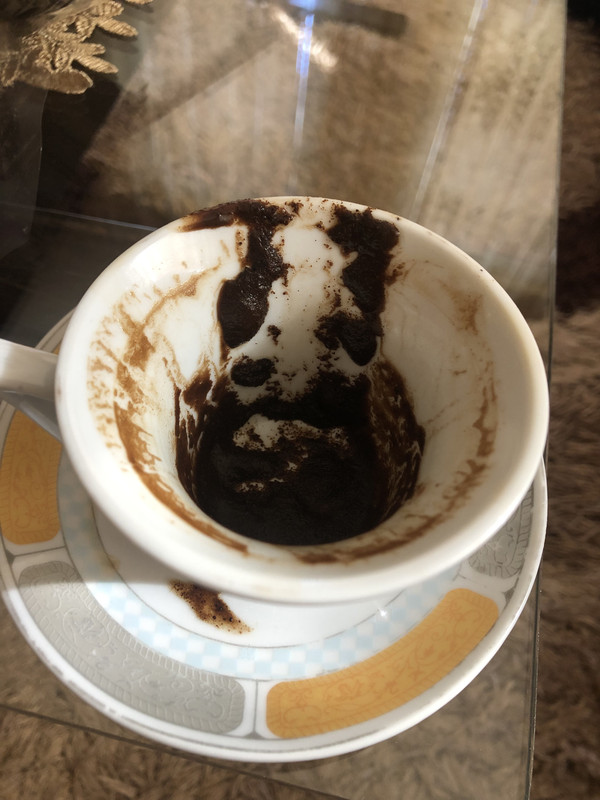 AA4B1C42-5E78-4767-AD19-404902997C3E