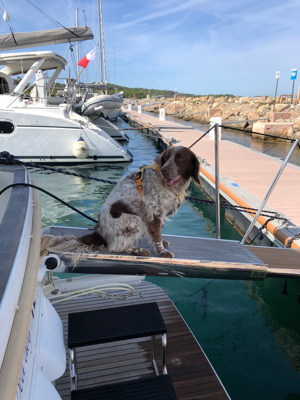 3F44B004-F0C0-433B-83A2-D43A8F9BDA9F