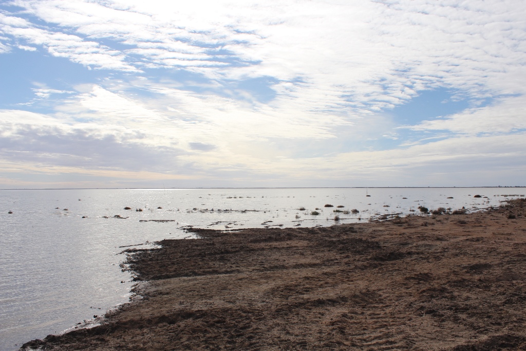 2021 Boys Googs Tk & Off-Track Desert Trip (146)