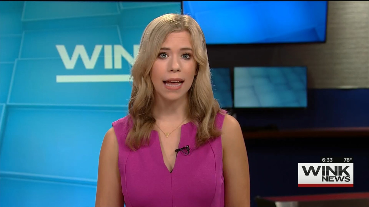 08.09 - 11.00.00 - WINK News @ 6 00AM Sunday..ts_snapshot_00.35.59.234