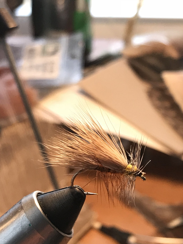 6DBCFD51-653B-4C84-9226-BE4490BF76CA