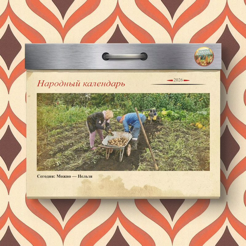 [Изображение: photo-2026-08-07-09-47-15.jpg]