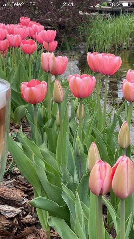 A35FFB05-FBA4-4726-8B31-E4395894EAE8