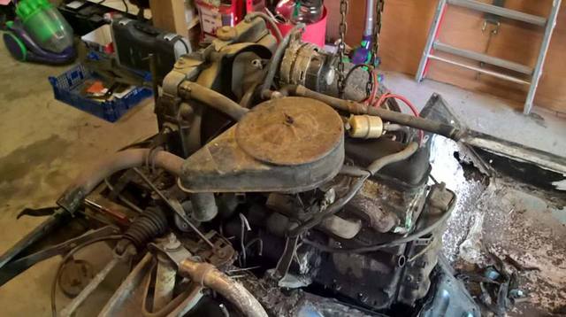 17974723_630977233768704_879532958_n