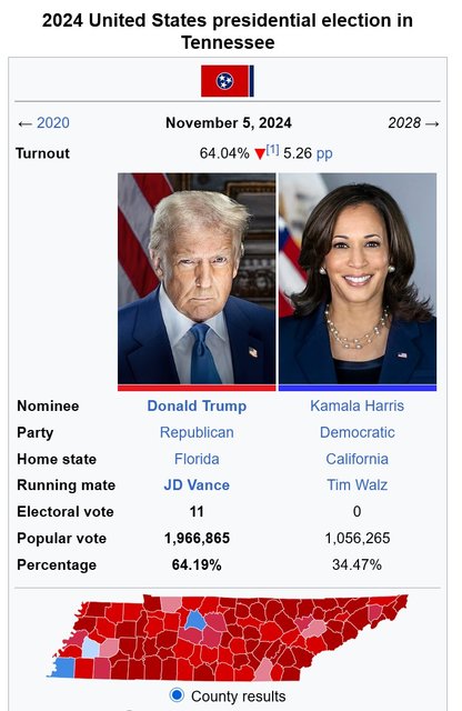 Tennessee-2024-vote