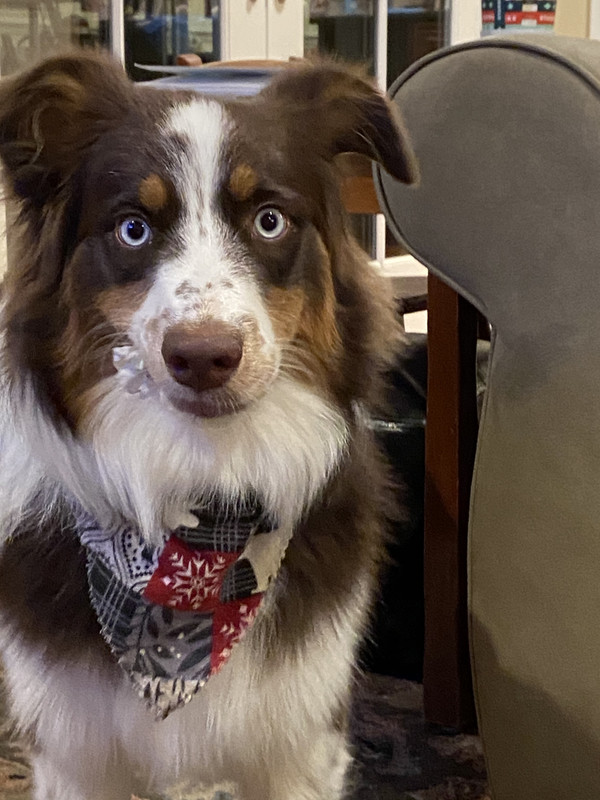 3657AF0A-5B0F-4623-872D-99896560E184