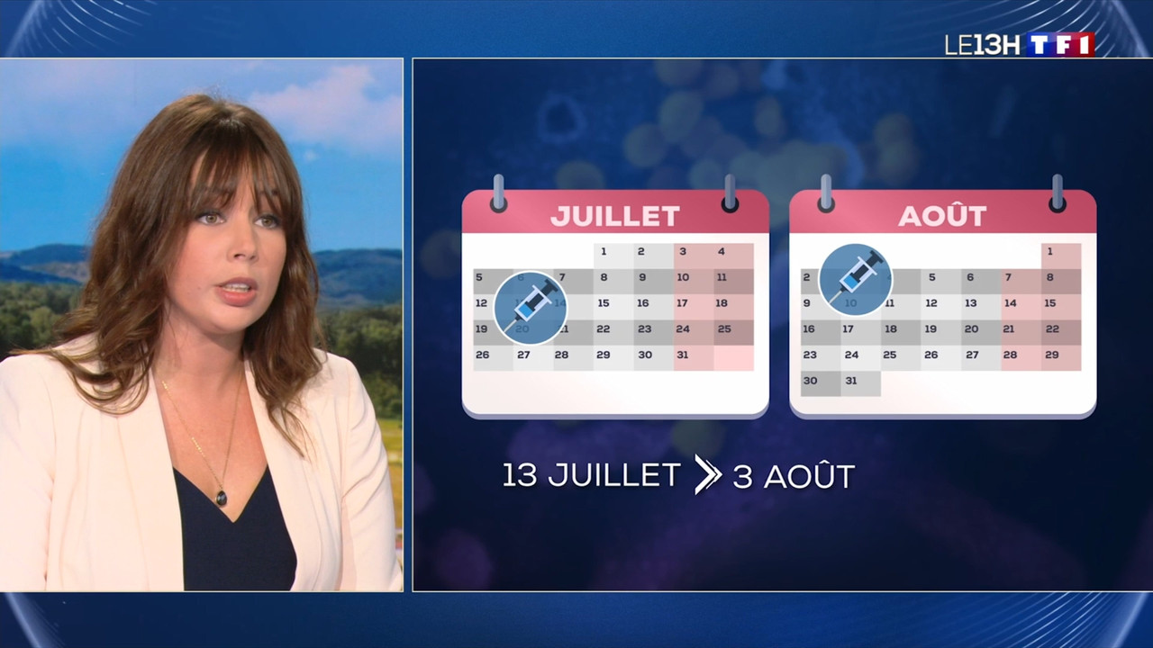 2021-07-13_13_00_TF1_Le-13h.mp4_snapshot_00.09.42.246