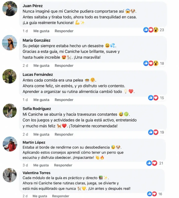 Testimonio 1