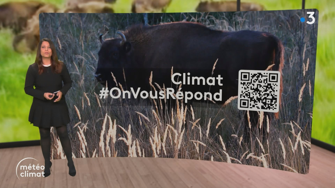 Journal Météo Climat - Journal Météo climat_France 3_2024_12_05_22_45.ts_snapshot_05.05.955