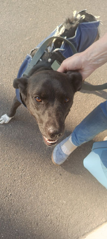 IMG_20240831_163416_310