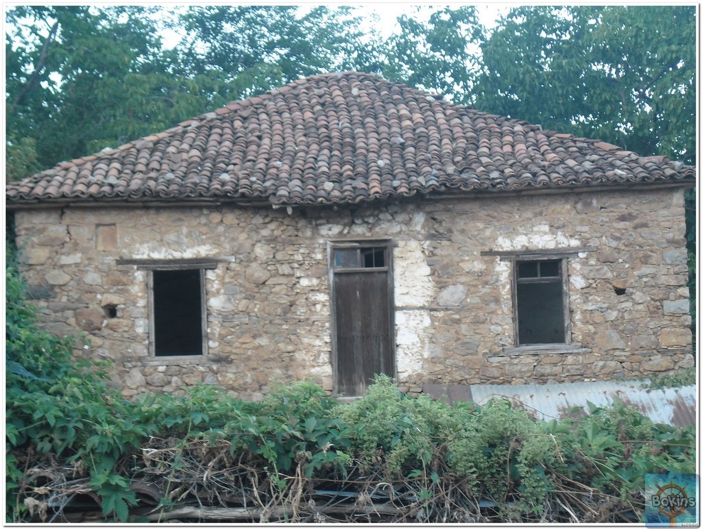 Slika